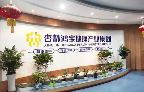 艾瑪醫療科技攜手杏林鴻寶集團 益寶健康項目軟件開發合作，共筑智慧醫療新生態